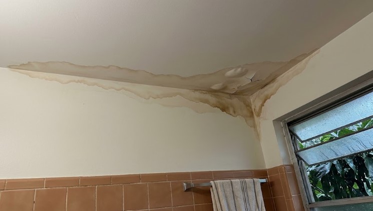 Brown water stains and bubbling paint along an outside corner of a bathroom ceiling