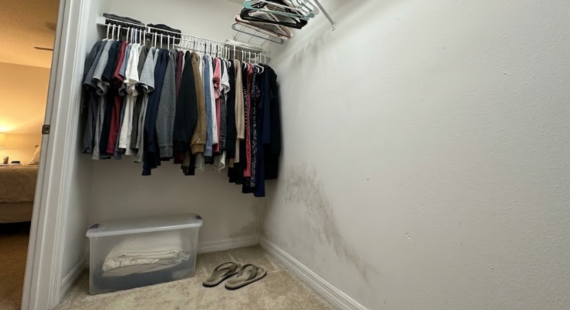 Dark mildew spreading up the corner of a walk-in closet wall from the baseboard