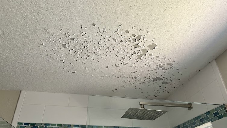 bathroom-ceiling-paint-flaking-above-shower-florida